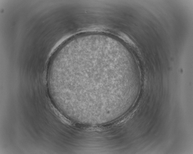 X0000080761216200701021048