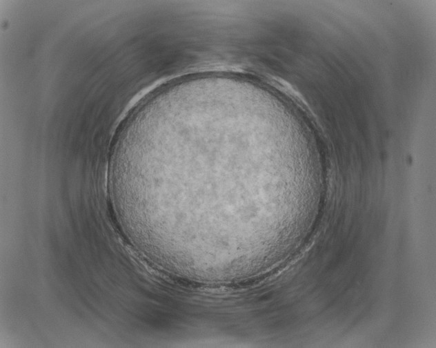 X0000080761220200701021048