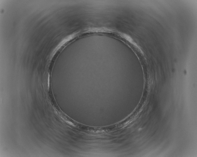X0000080761221200701021048