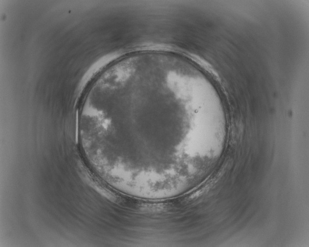 X0000080761223200701021048