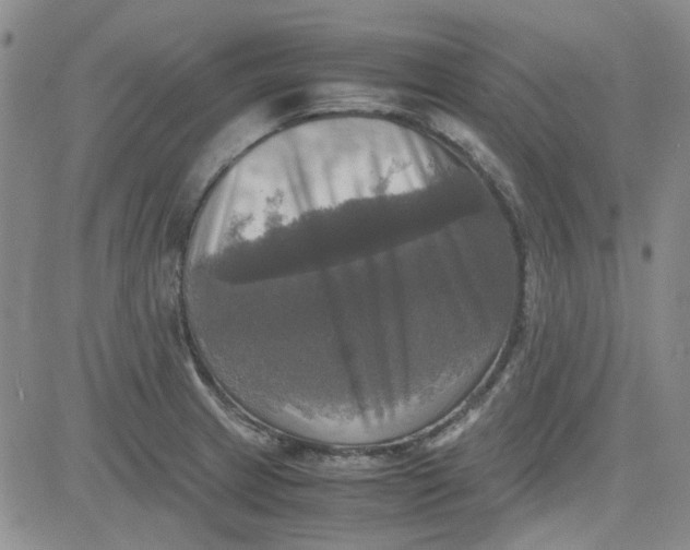 X0000080761233200701021048