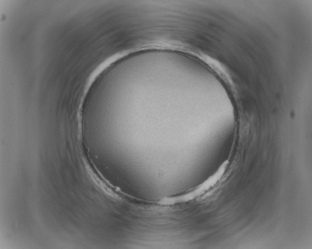 X0000080761238200701021048