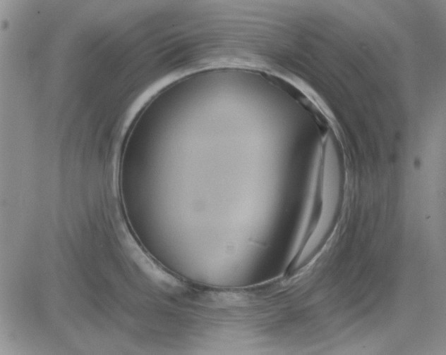 X0000080761246200701021048