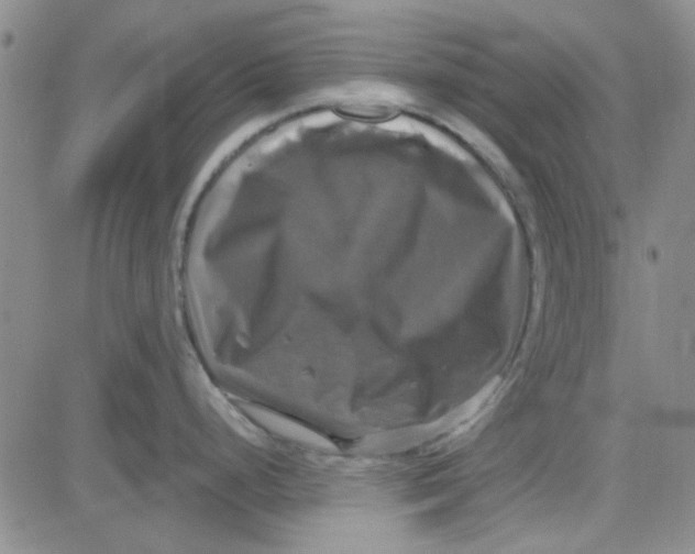X0000080761248200701021048