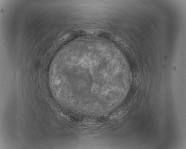 X0000080761249200701021047