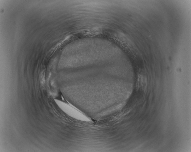 X0000080761250200701021047