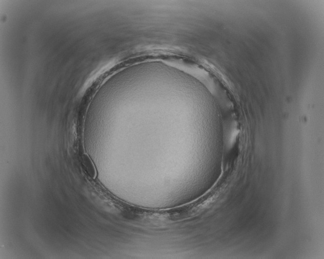 X0000080761261200701021047