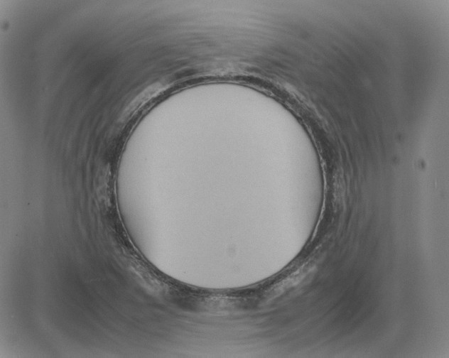 X0000080761265200701021047