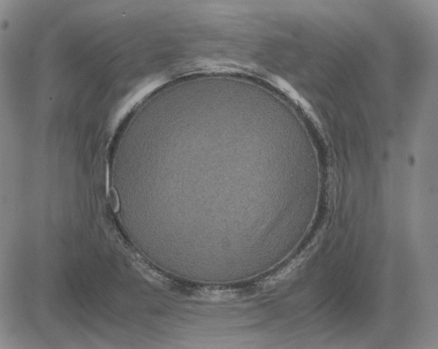 X0000080761269200701021047