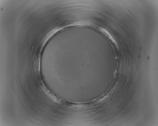 X0000080761276200701021047