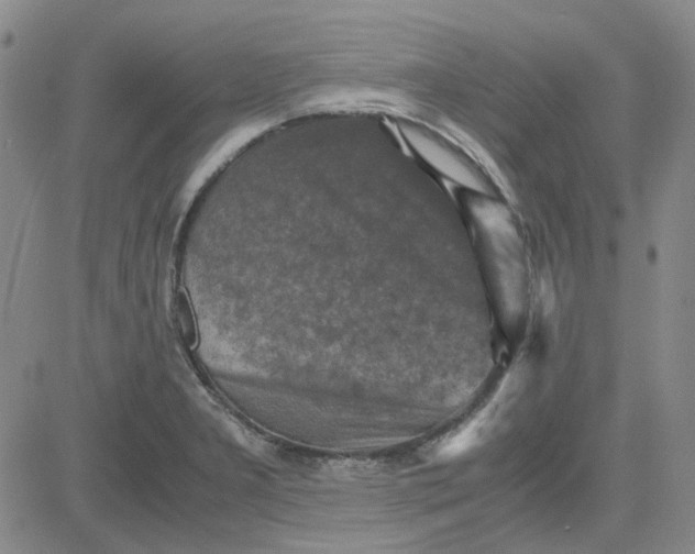 X0000080761277200701021047