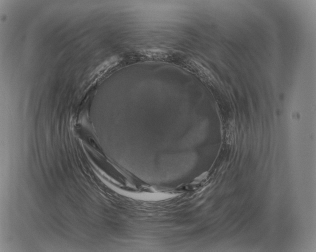 X0000080761298200701021046