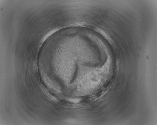 X0000080761308200701021046