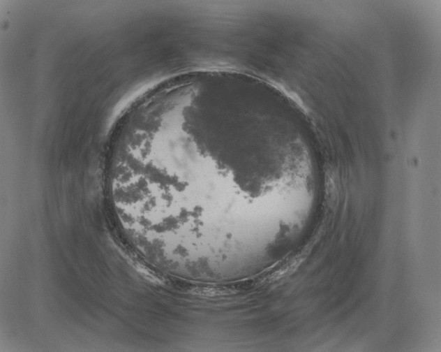 X0000080761311200701021046