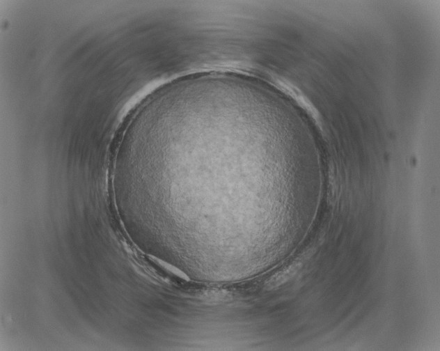 X0000080761316200701021046