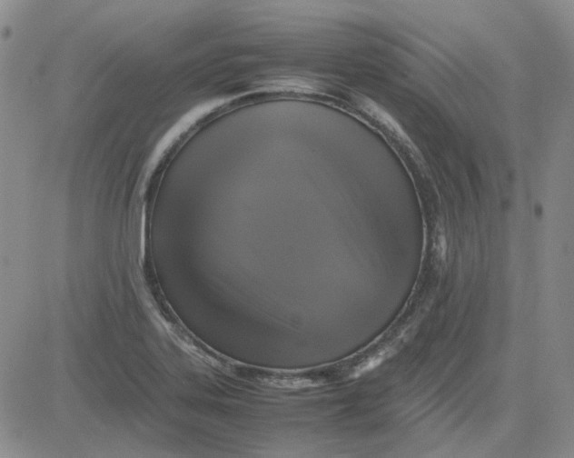 X0000080761323200701021046