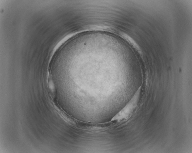 X0000080761324200701021046