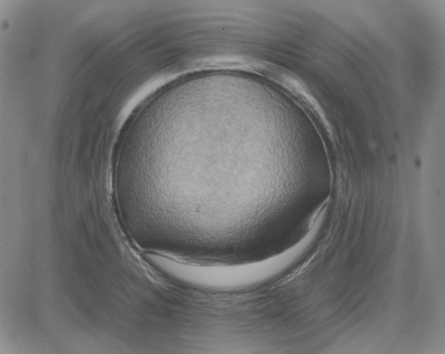 X0000080761328200701021046