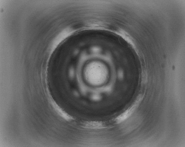 X0000080761333200701021046