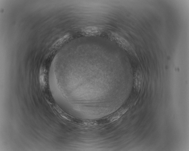 X0000080761346200701021046