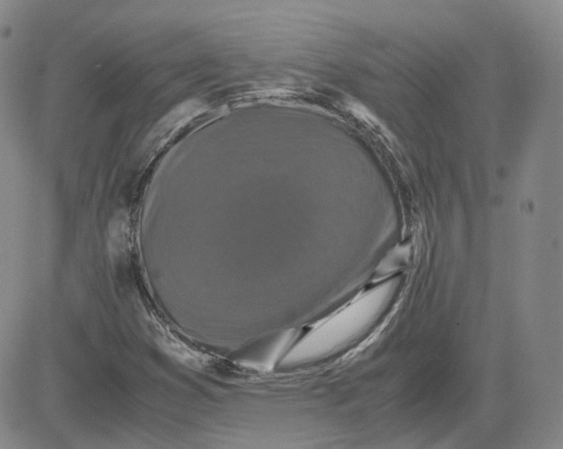 X0000080761353200701021046