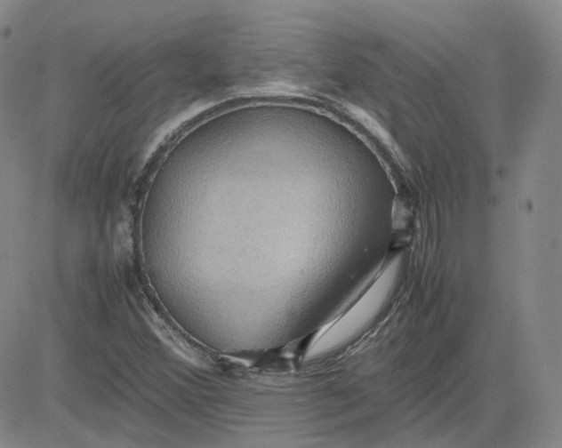 X0000080761356200701021046