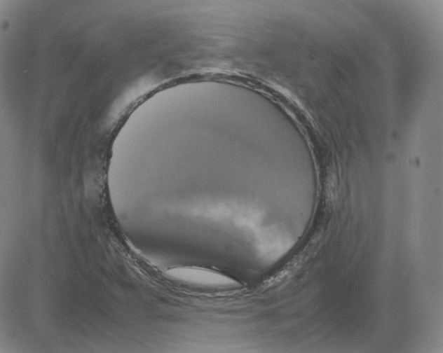 X0000080761359200701021046