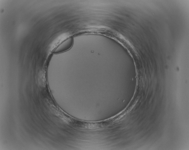 X0000080761362200701021045