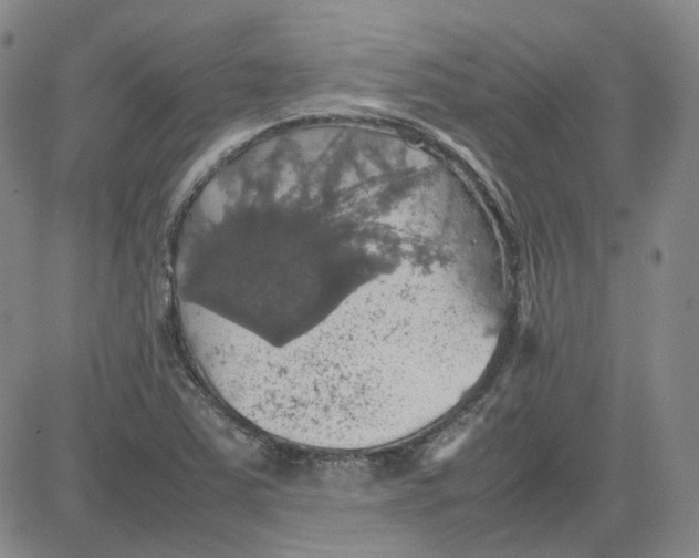 X0000080761363200701021045
