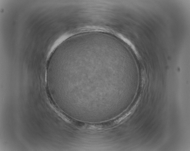 X0000080761365200701021045