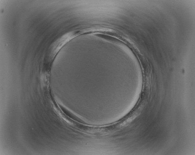 X0000080761369200701021045