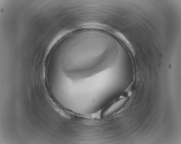 X0000080761376200701021045