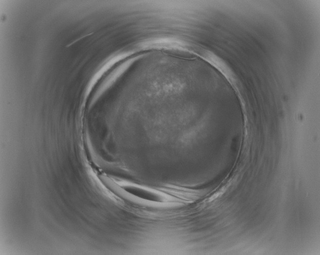 X0000080761392200701021045