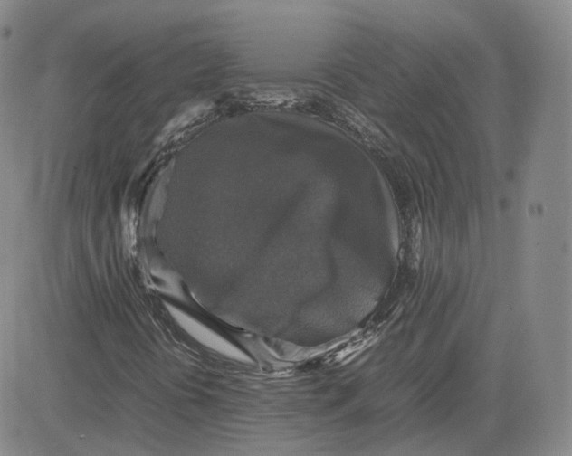 X0000080761394200701021044