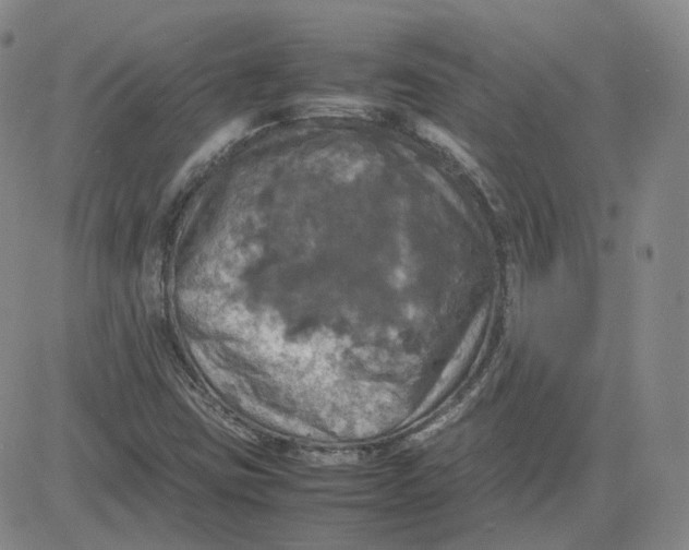 X0000080761403200701021044