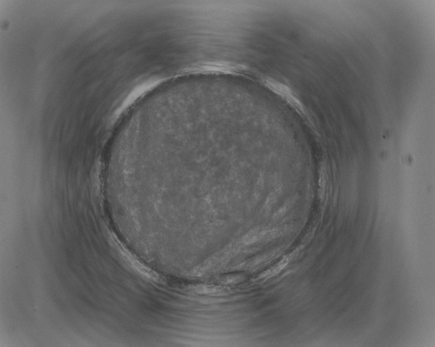 X0000080761404200701021044