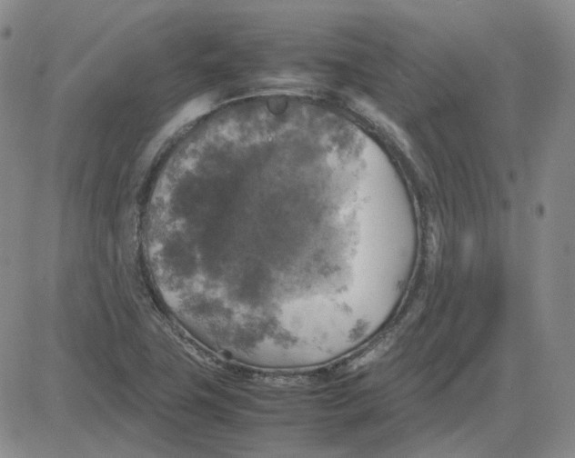 X0000080761411200701021044