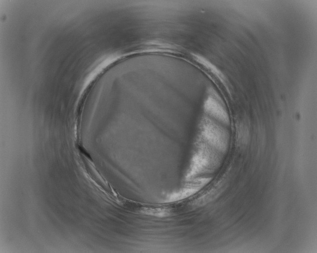 X0000080761415200701021045