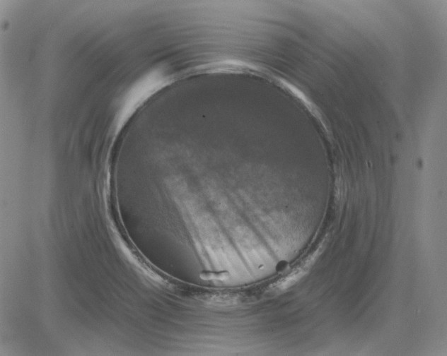X0000080761418200701021045