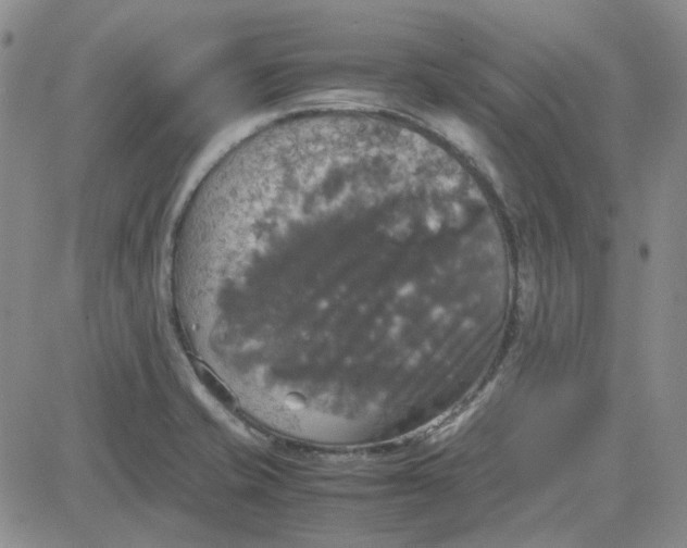 X0000080761421200701021045