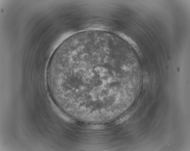 X0000080761423200701021045