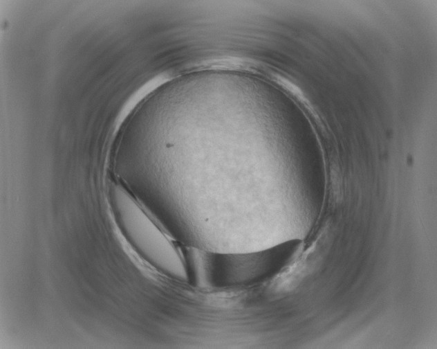 X0000080761426200701021045
