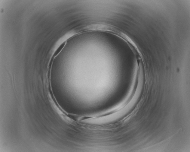 X0000080761434200701021045