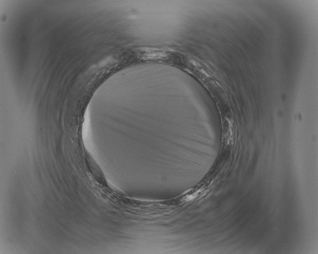 X0000080761441200701021044