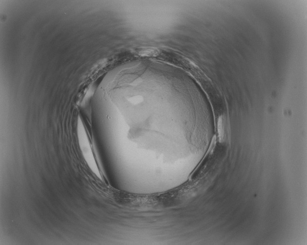 X0000080761443200701021044