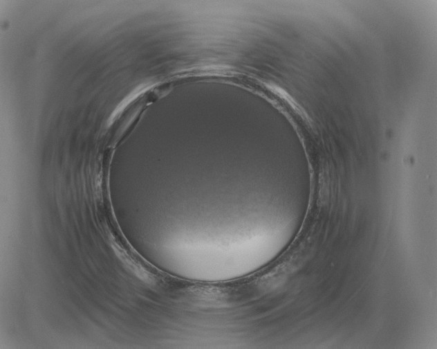 X0000080761450200701021044