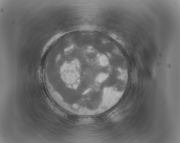 X0000080761454200701021044