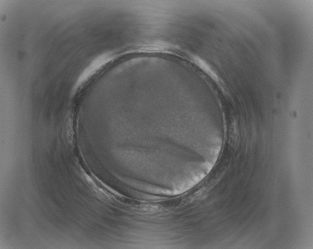 X0000080761456200701021044