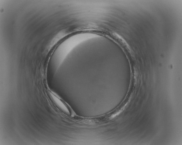 X0000080761457200701021044