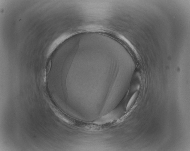 X0000080761461200701021044